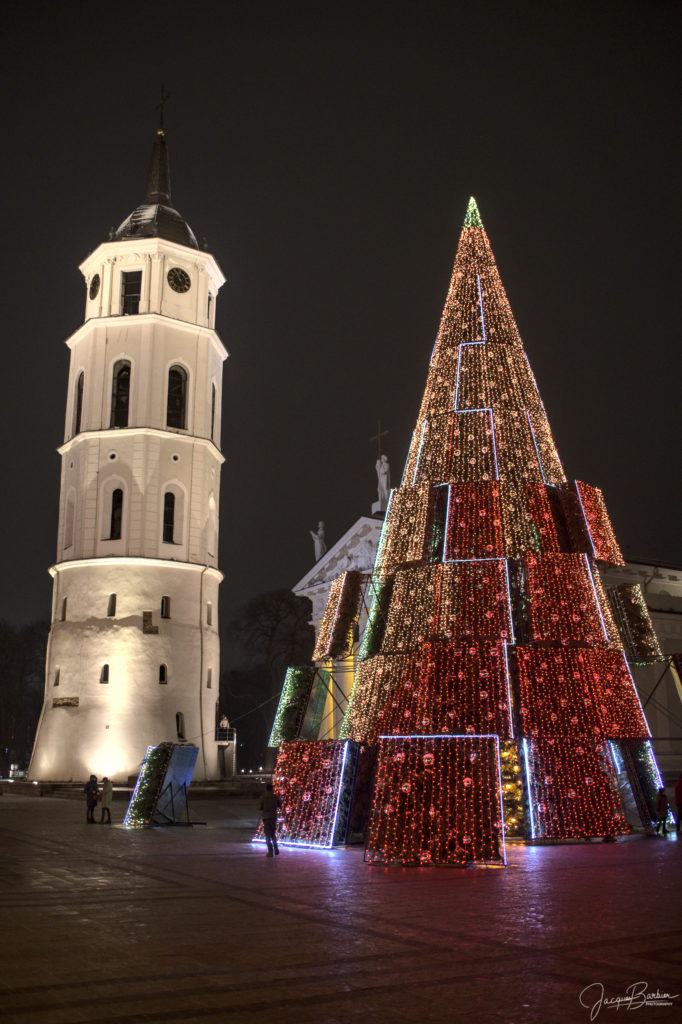 Vilnius Christmas tree 2020 (Cathedral)