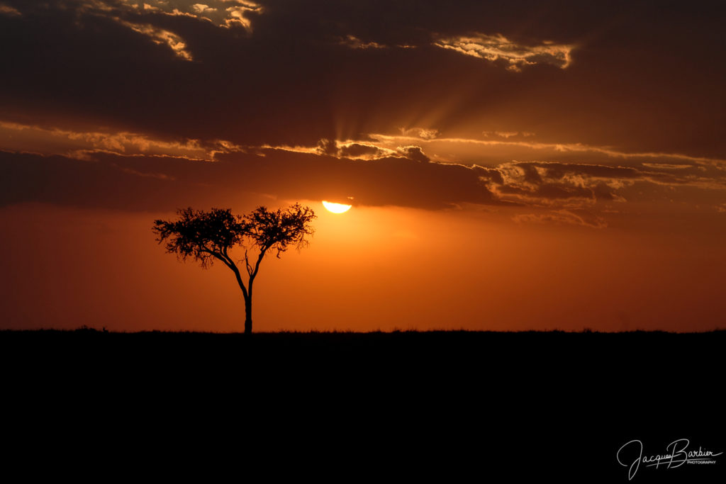 The sun sets over Maasai Mara (do you see the Impala ?)