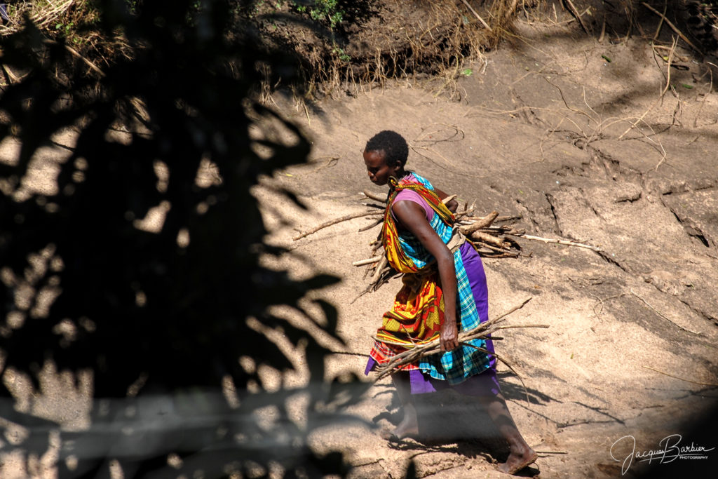 Woman collecting wood in river's bed